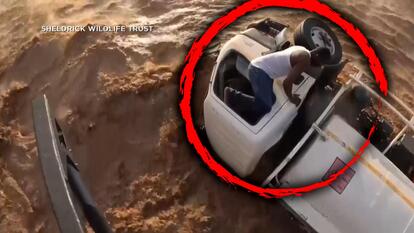 SHELDRICK WILDLIFE TRUST