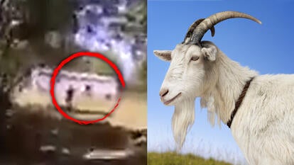 Enid Police Dept/Getty