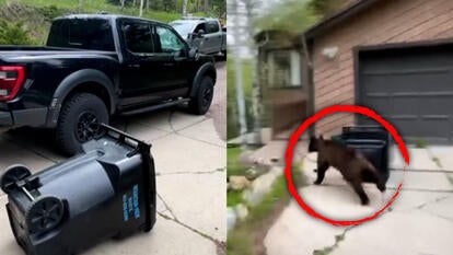 Colorado Parks and Wildlife