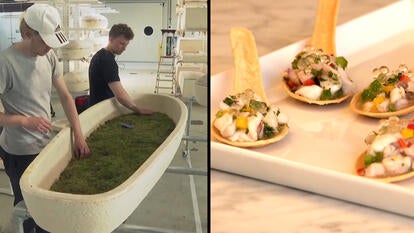 CBS News/Inside Edition