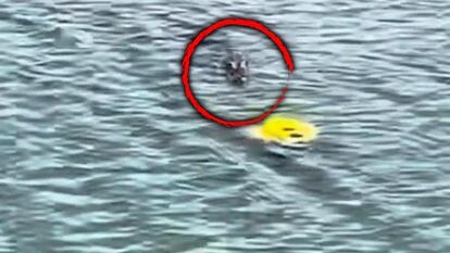 Lee County Sheriff's Office