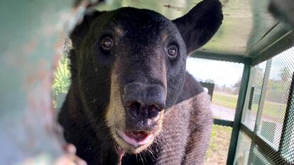 Tampa International Airport