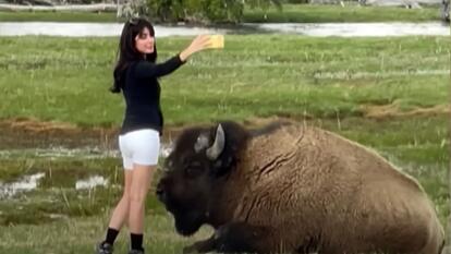 woman wearing block long-sleeve top and white shorts taking a selfie with a bison sitting on the ground