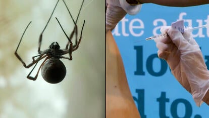 CBS News/Inside Edition