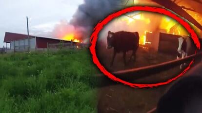 Artesia Police Dept.