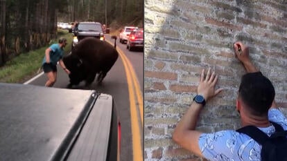 Ryan Lutz/Inside Edition