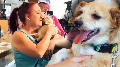 San Diego Humane Society