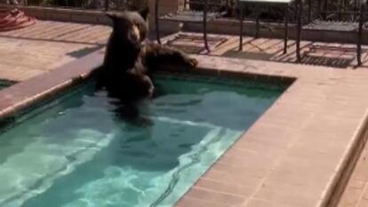 Burbank Police Department