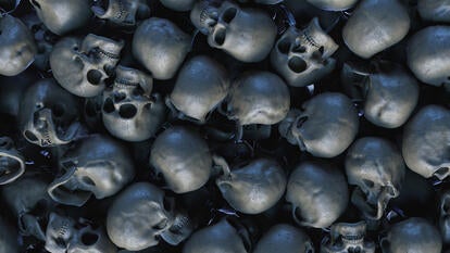 Skulls