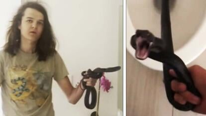 KPHO/ Rattlesnake Solutions