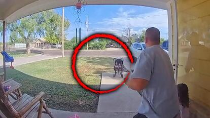 Dad Stops Son From Rolling Away in Baby Stroller