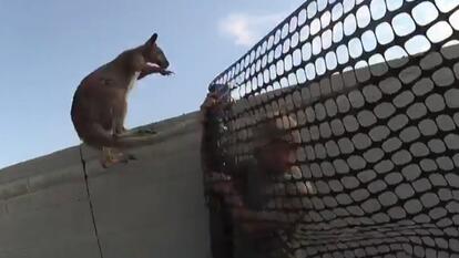 Maricopa County Sheriff's Office