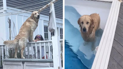 Erin Farley / Errieting/ TikTok