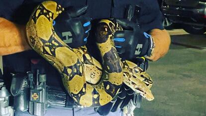 Irving Police Department