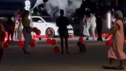 Florida Couple Under Fire After Red Anniversary Balloons End Up in Biscayne Bay