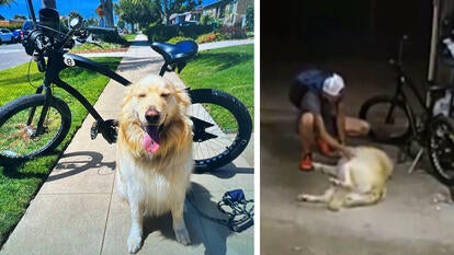 San Diego Police Department