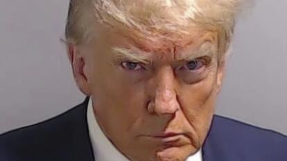 Donald Trump mugshot