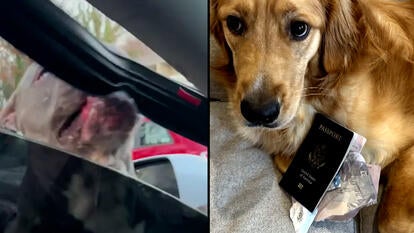 TikTok/toodiesangelxx/Inside Edition