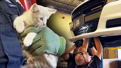 Indiana State Police