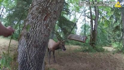 Pierce County Sheriff's Department