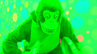 Monkey In Haunted House