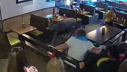 Massive Buck Crashes Through Restaurant Window