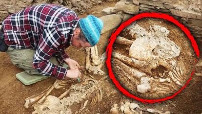 5,000-Year-Old Skeletons unearthed by an archaeologist in Orkney, Scotland.