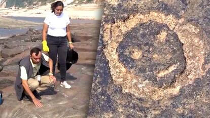 Drought Reveals Ancient Carvings in River in Amazon