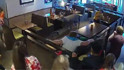 Deer running through restaurant