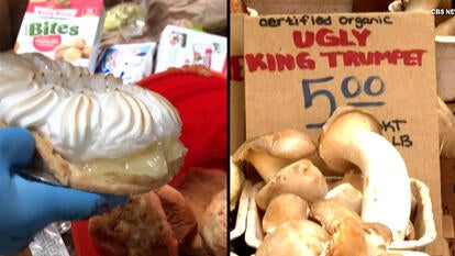 A Restaurant Using So-Called Garbage in Food and Other Leftovers Stories