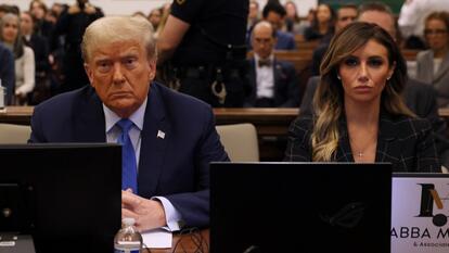 Donald Trump and his lawyer, Alina Habba, in court for New York civil fraud trial