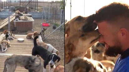 Teacher Lulzim Prenku runs a dog rescue in Kosovo.