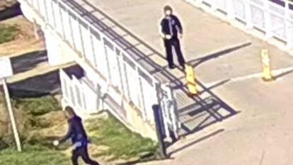 Former Senator Martha McSally Assaulted on Jog