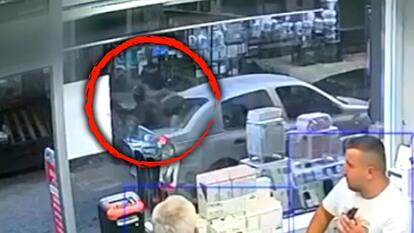 Goat Falls Off Building Onto Car