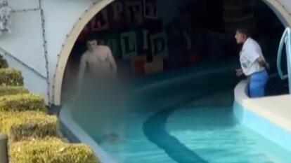 A naked man was arrested after jumping into the water on Disneyland’s ‘It’s A Small World’ ride.