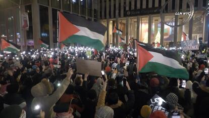 Protesters Near Christmas Tree Lighting Ceremony