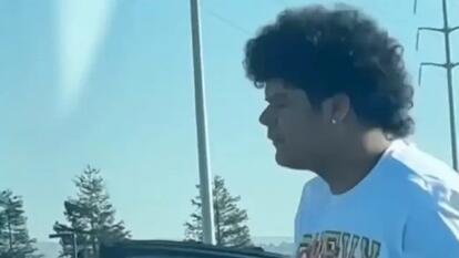 Dog Nearly Blinded in Road Rage Attack