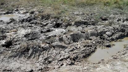 Boy Stuck in Muddy Sinkhole