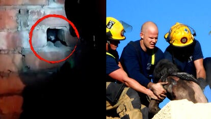 Things stuck in chimney