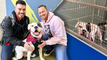 Elvis, the former shelter dog, was adopted from Chicago’s Anti-Cruelty Society by a former Elvis impersonator.