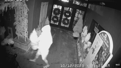 Alleged Thief Steals Plant