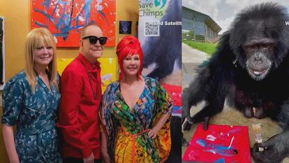 B-52's/Painting chimpanzee