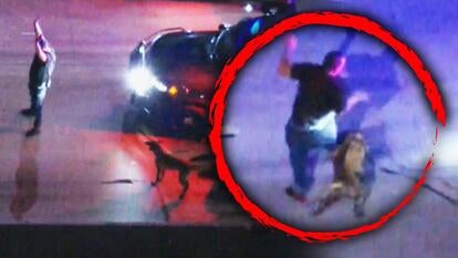 Suspected carjacker was bitten by a police k9 before being arrested.