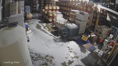 washington, crime, food, caught on camera