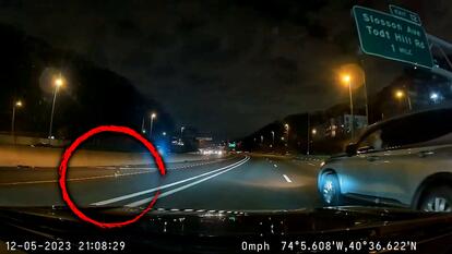 Chihuahua running on highway