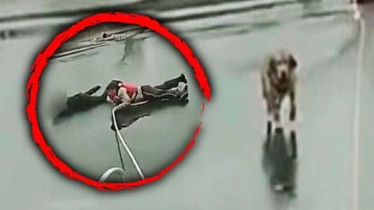 man, dog rescued from ice