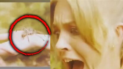 Sydney Sweeney Bitten by Spider on 'Anyone But You' Set