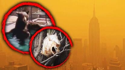 Air From the Canada Fires.