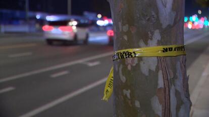 Crime scene tape around a tree