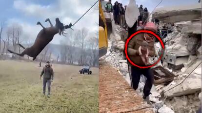 Most Amazing Caught-on-Camera Rescues of 2023